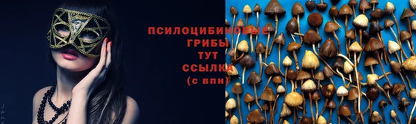jwh Гусиноозёрск