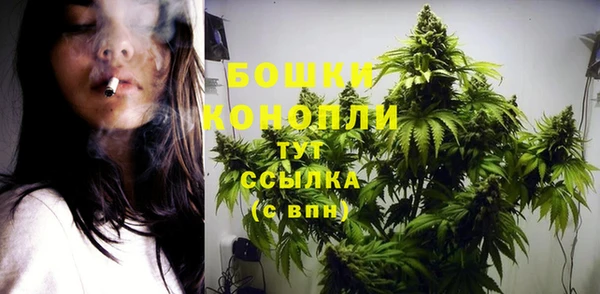 ALPHA PVP Гусь-Хрустальный