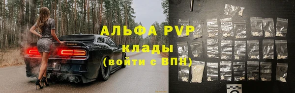 ешки Гусев