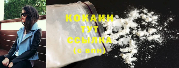 ешки Гусев