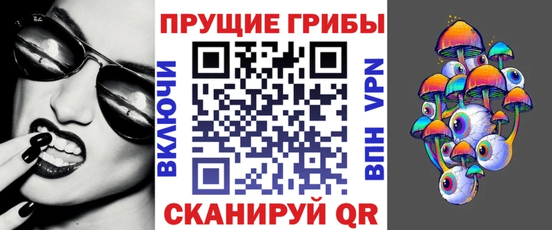 Купить закладки  Починок  Псилоцибиновые грибы GOLDEN TEACHER 